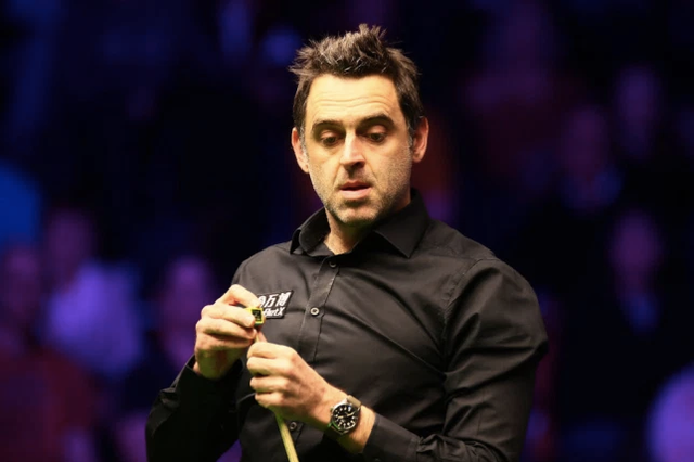 书店内设立 书店内设立